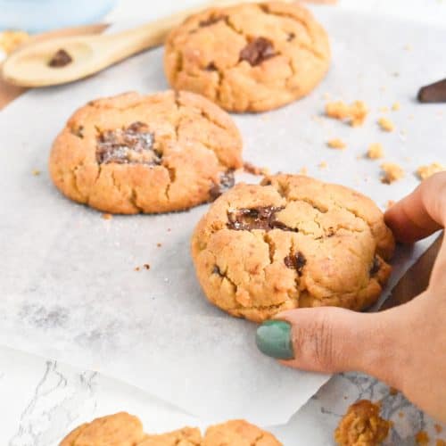 Galletas de chocolate libres de gluten