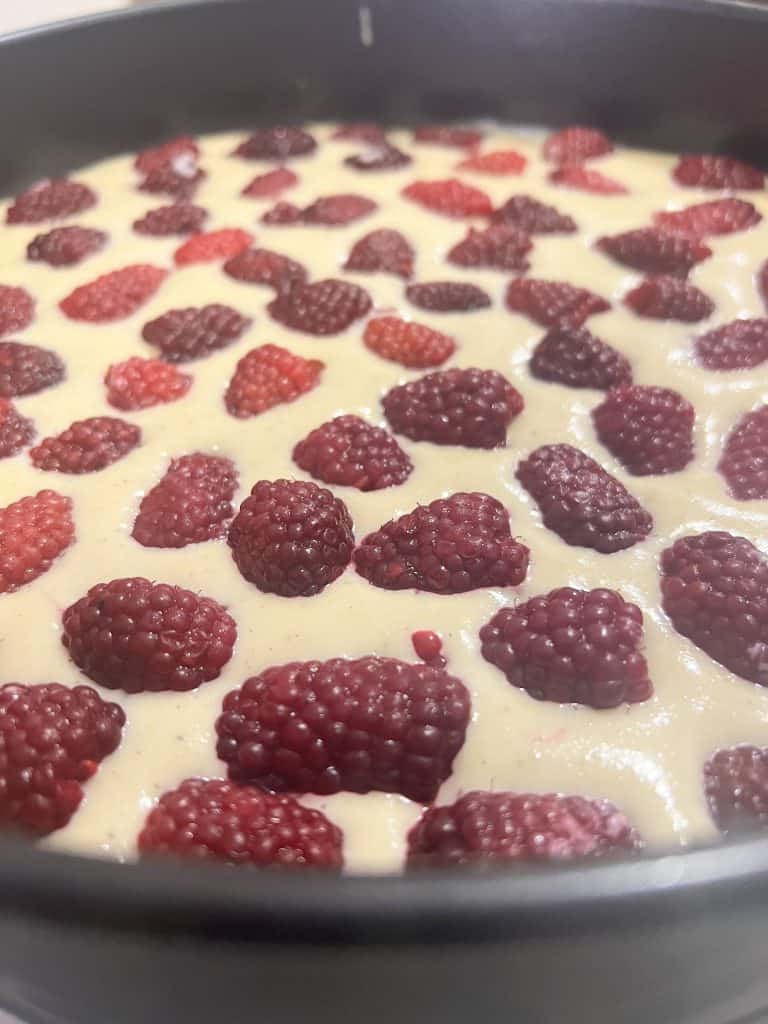 piefrutosrojos